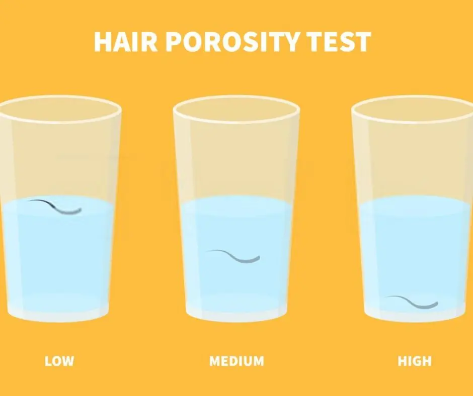 How Might You Tell Your Hair Porosity Level 
