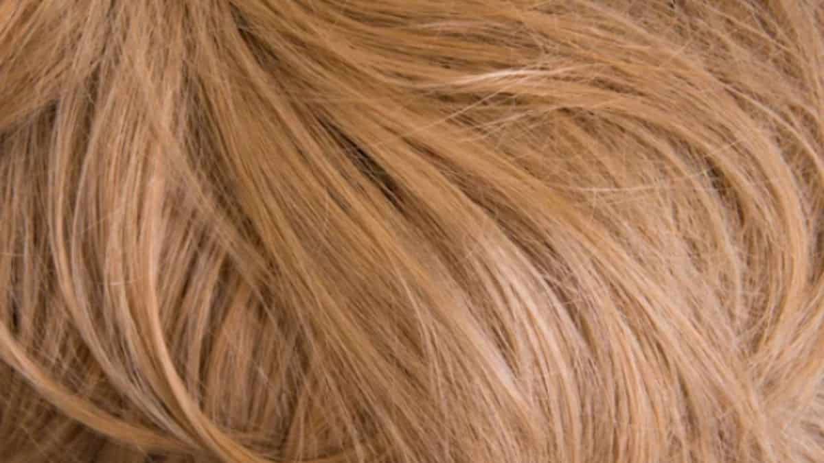 what-is-dull-hair-tips-to-know-now-reenasidhu