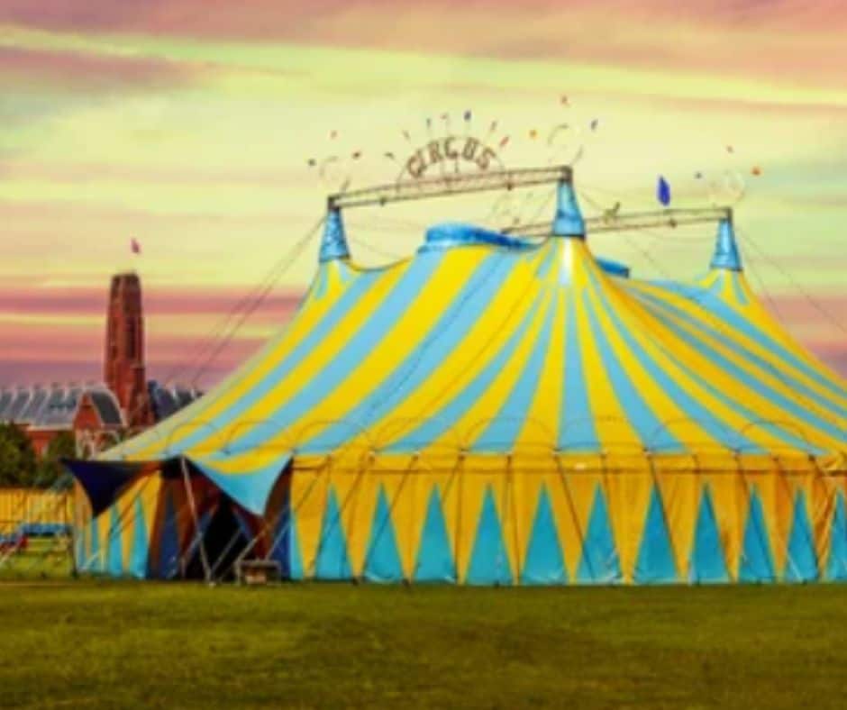 Let's go to the circus
