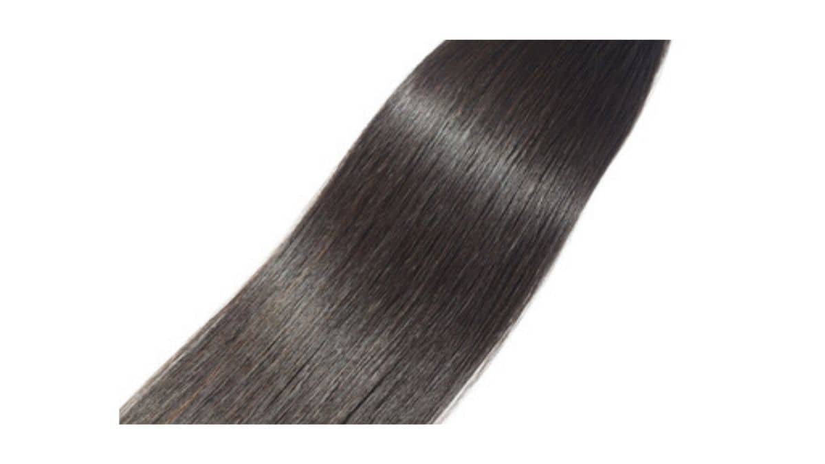 Read more about the article What Is Mink Hair