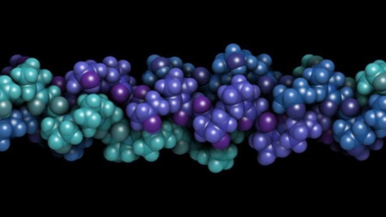 What is protein filler for hair?