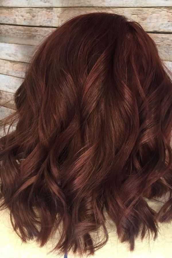 Chocolate Cherry Perfection
