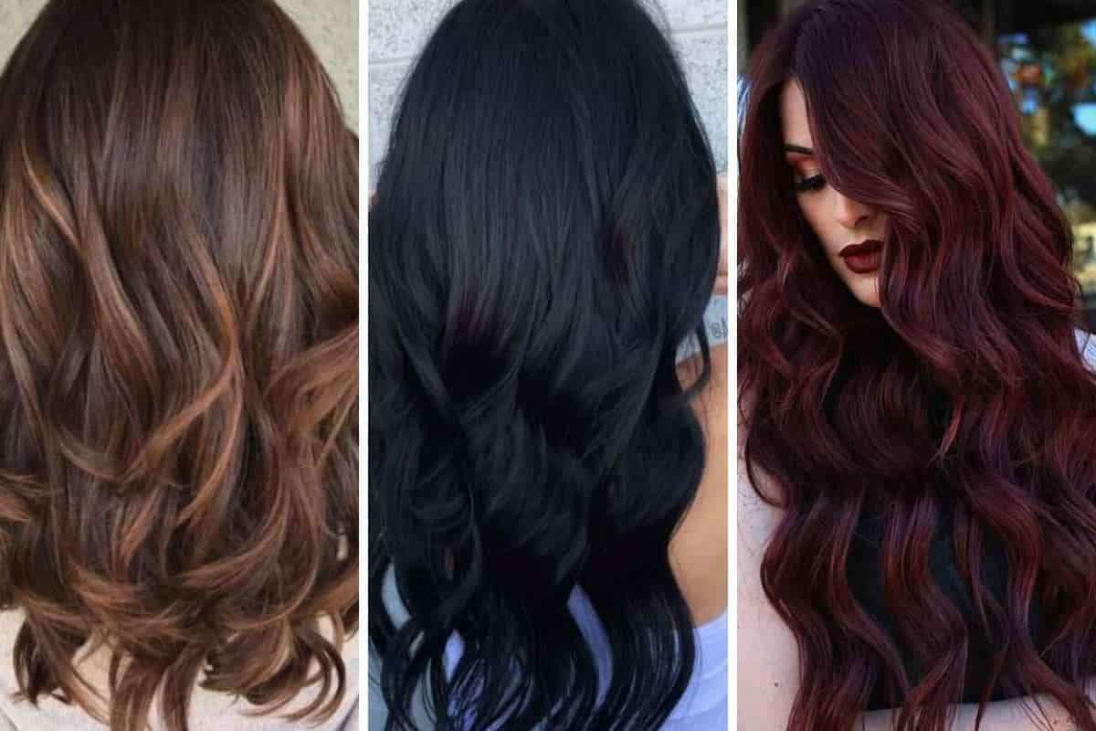 Dark Hair Color Ideas for Winter