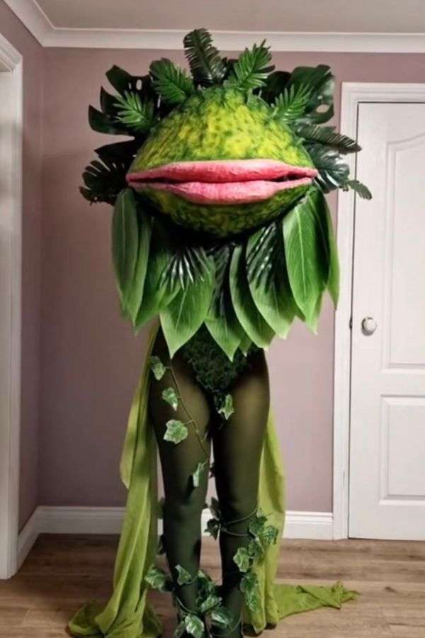 Moss Fairy